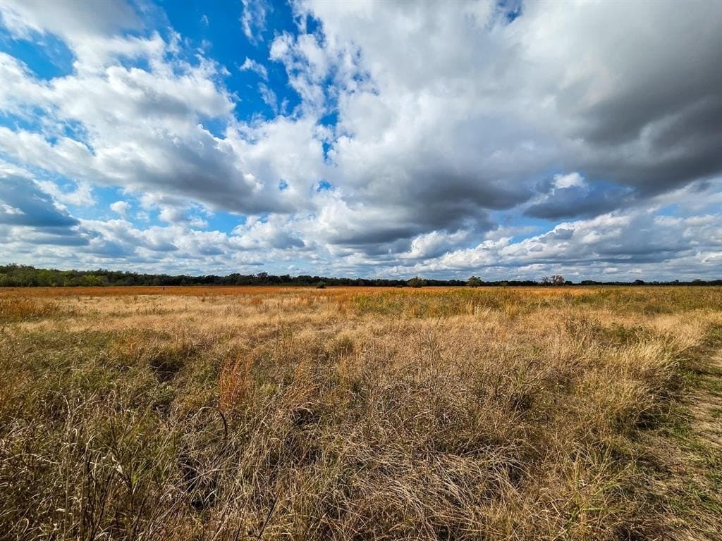 61 acres in Fannin County - photo 11