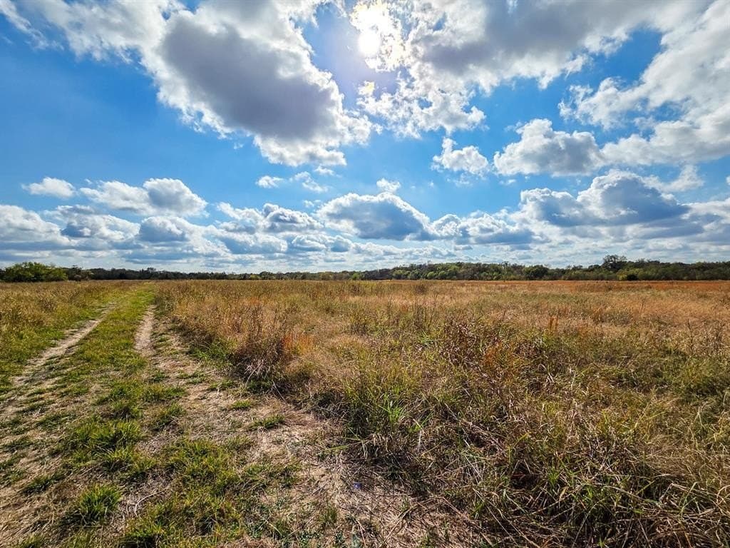 61 acres in Fannin County - photo 13