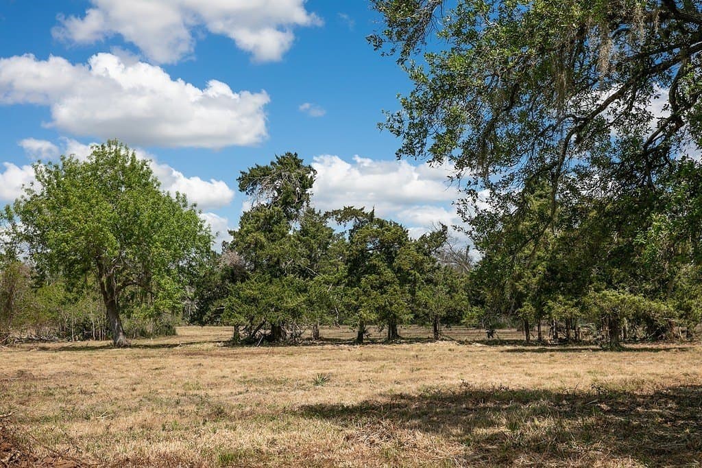 10.3 acres in Brazoria County - photo 7
