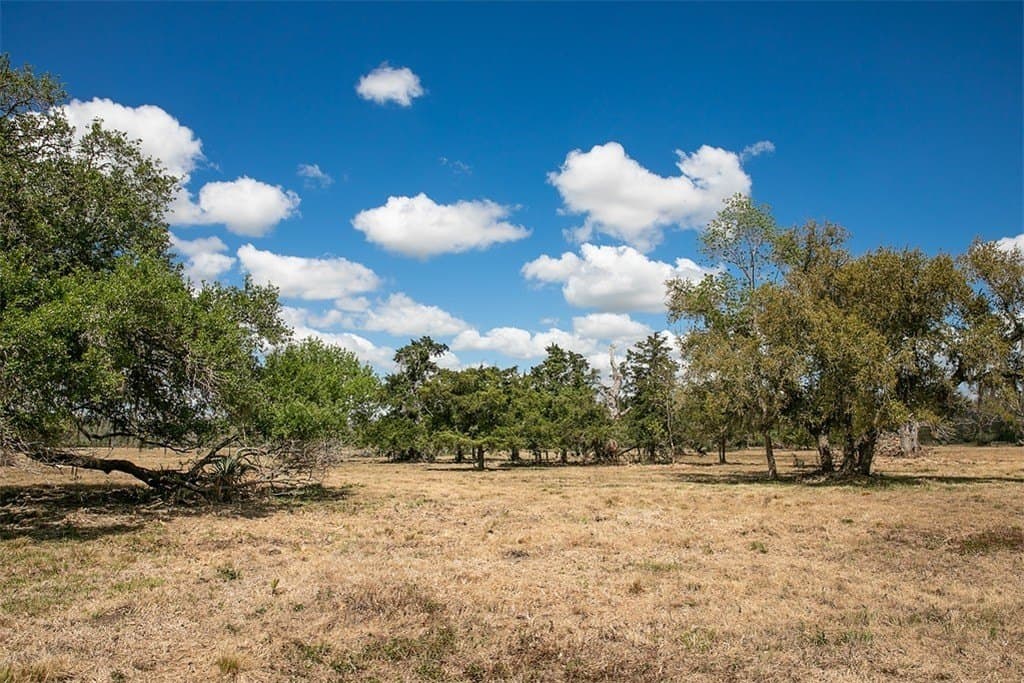 10.3 acres in Brazoria County - photo 6