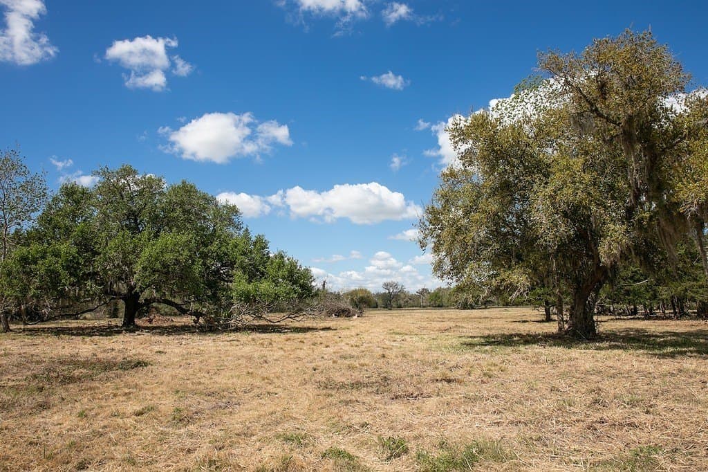 10.3 acres in Brazoria County - photo 5
