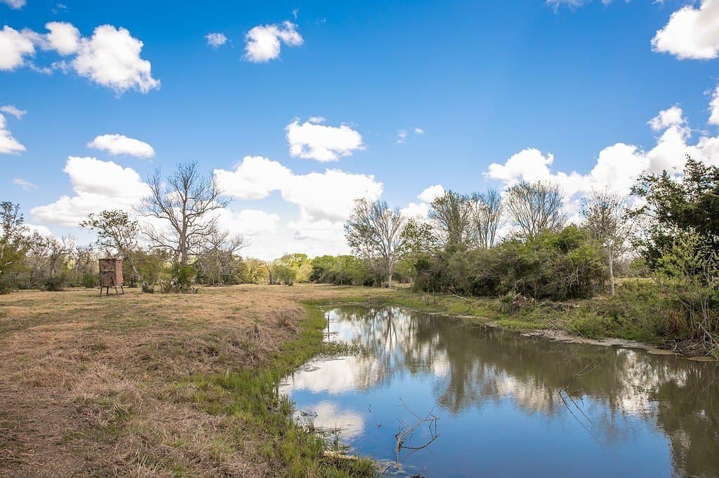 10.3 acres in Brazoria County - photo 2
