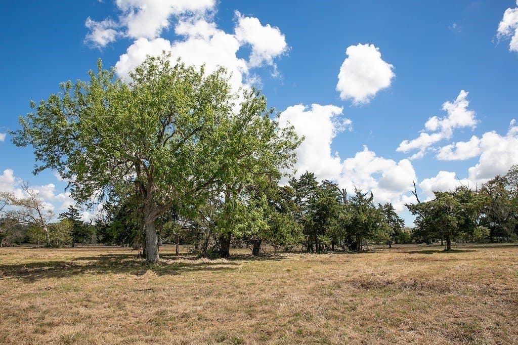 10.3 acres in Brazoria County - photo 9