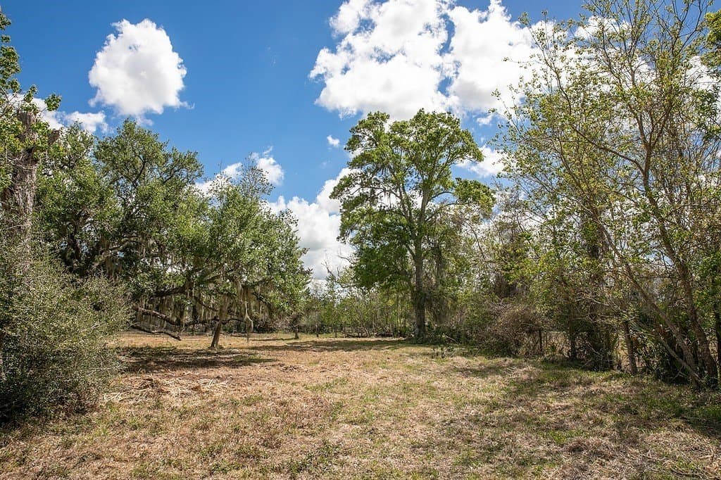 10.3 acres in Brazoria County - photo 8