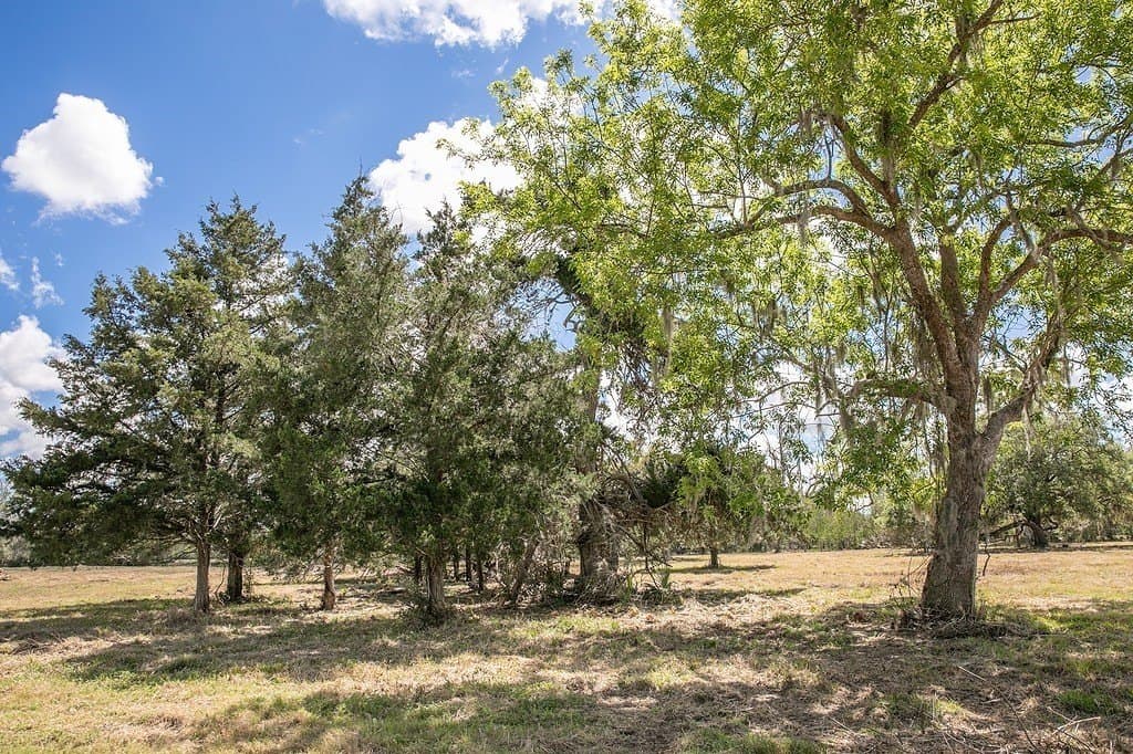 10.3 acres in Brazoria County - photo 10