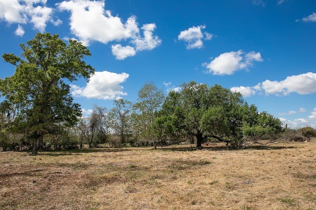 10.3 acres in Brazoria County - photo 4
