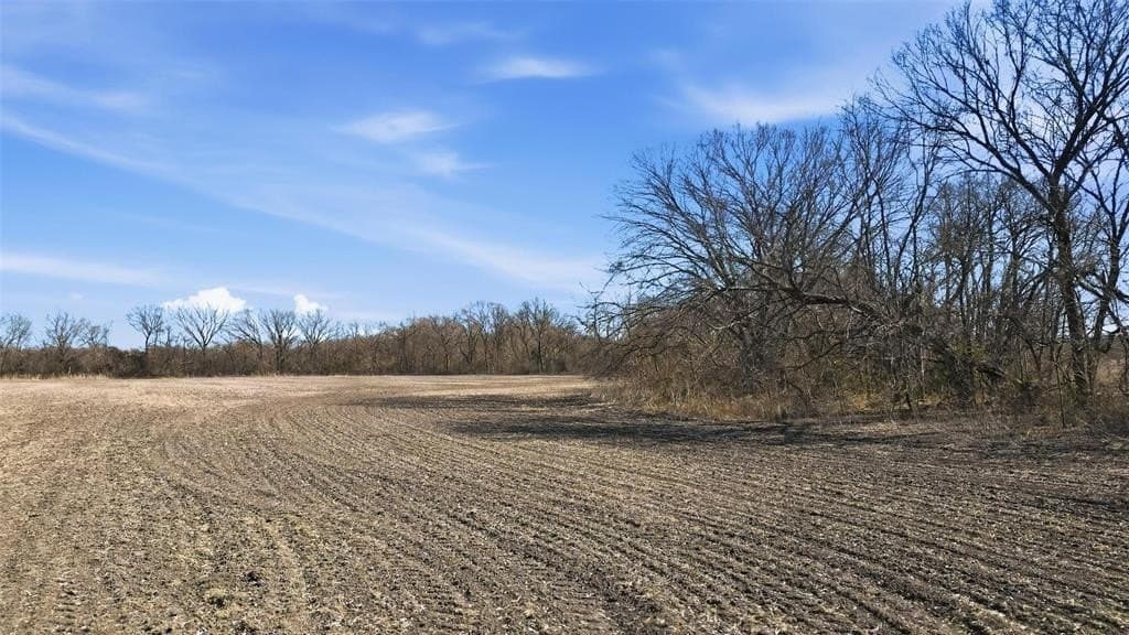 55.89 acres in Collin County - photo 9