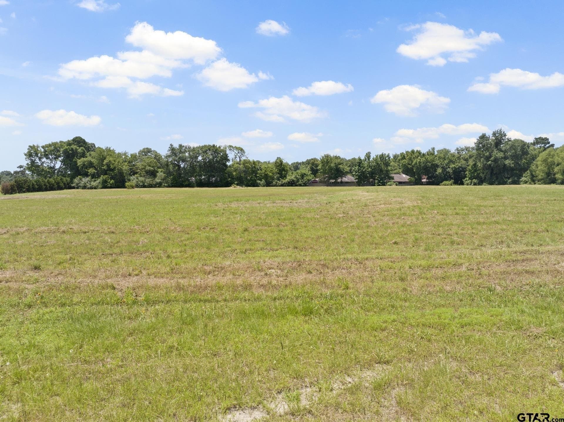 9.83 acres in Titus County - photo 14