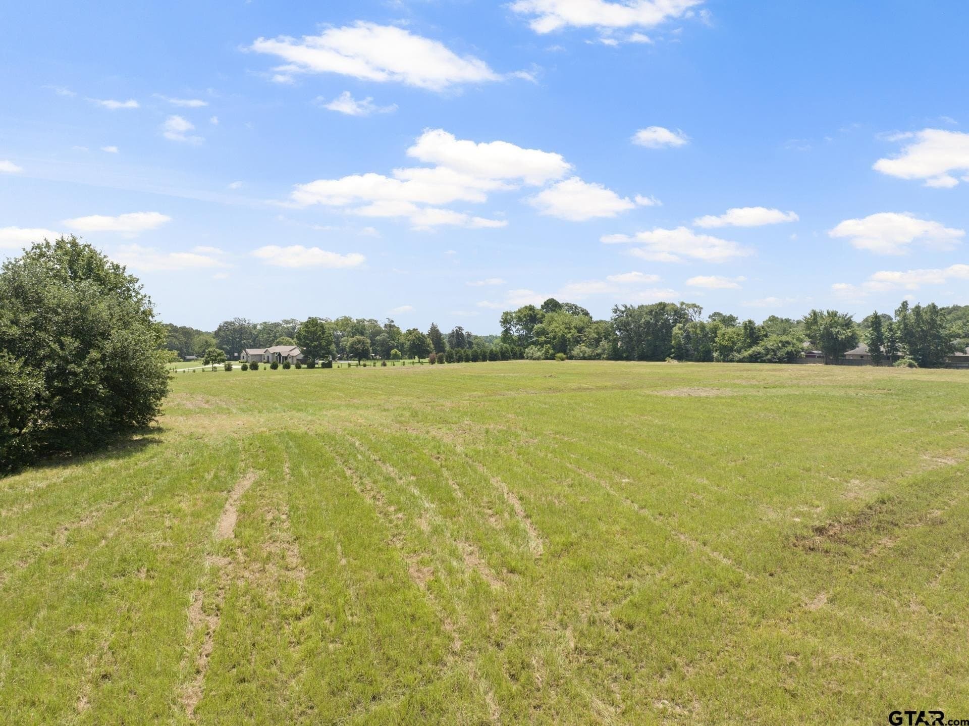 9.83 acres in Titus County - photo 11