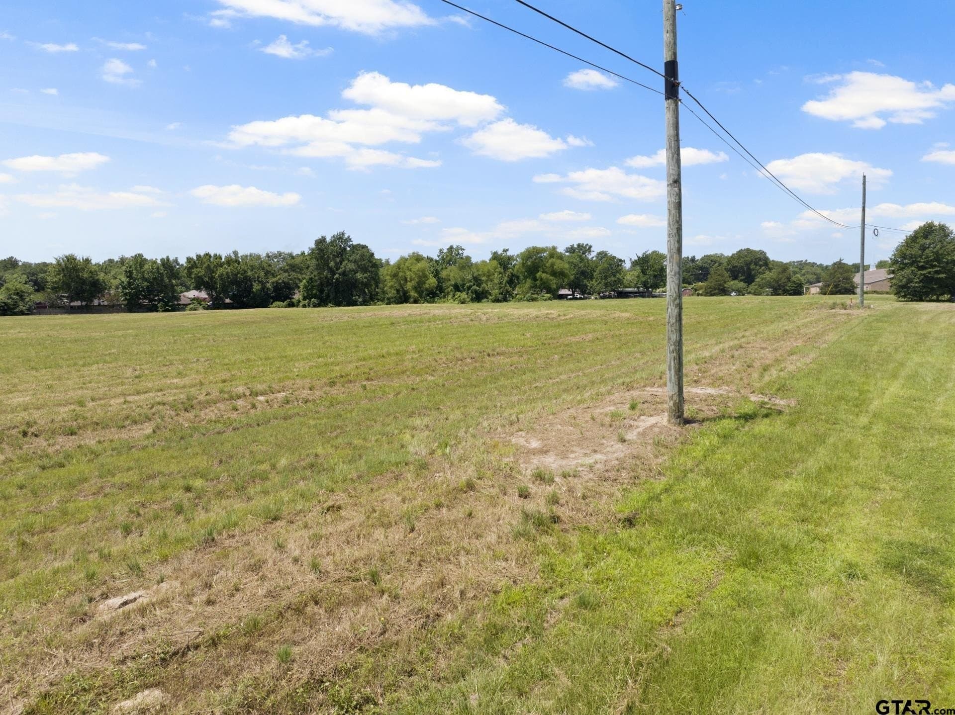 9.83 acres in Titus County - photo 13