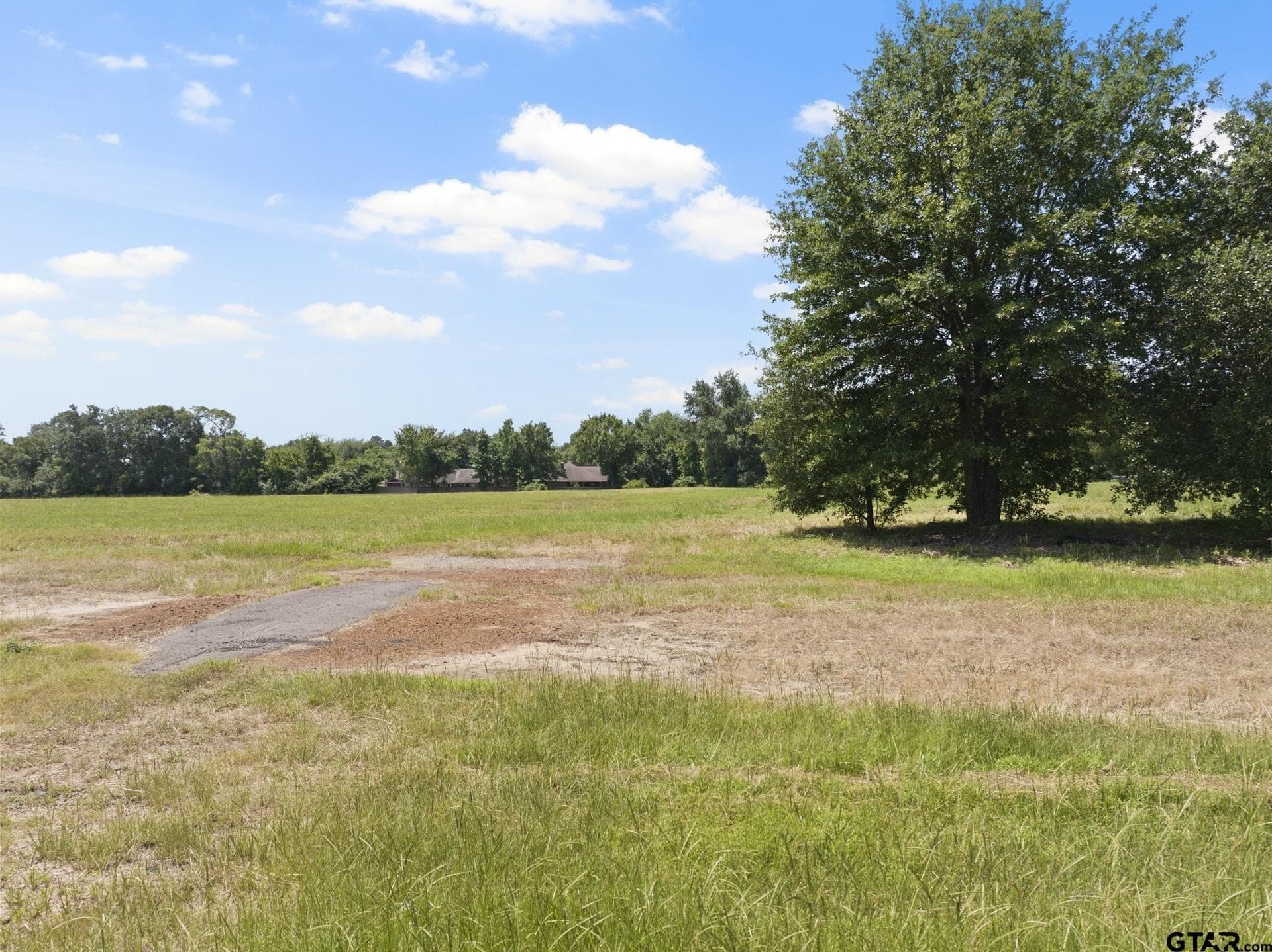 9.83 acres in Titus County - photo 5