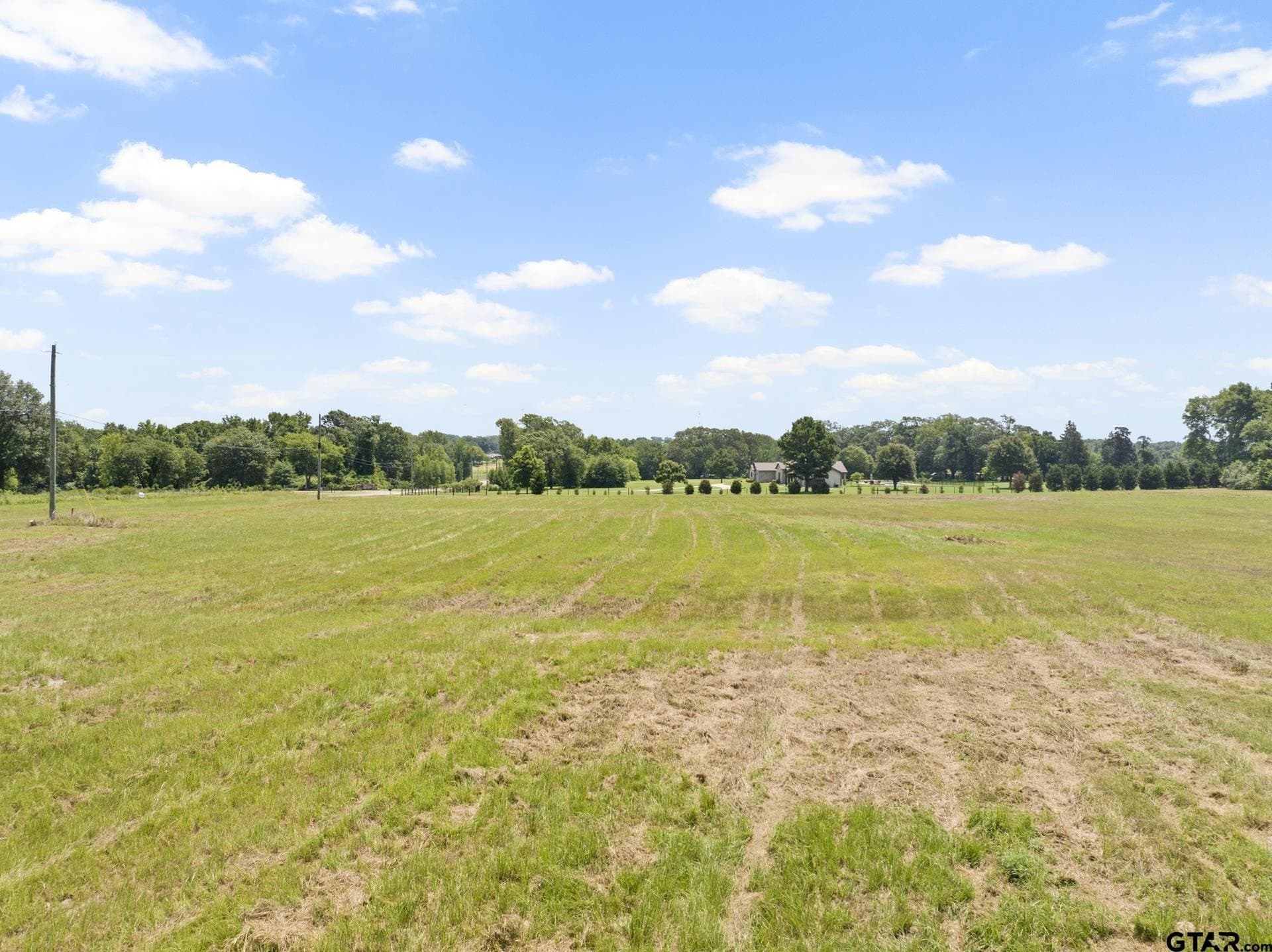 9.83 acres in Titus County - photo 7
