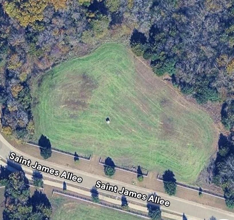 2 acres in Dallas County - photo 2