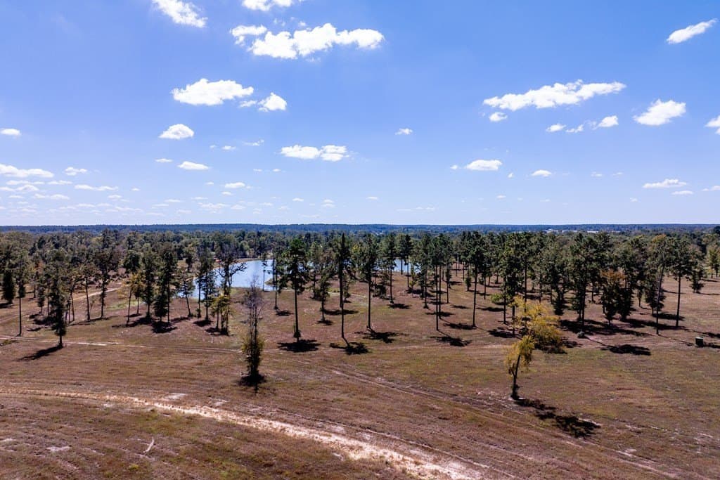 128.38 acres in HOUSTON County - photo 42
