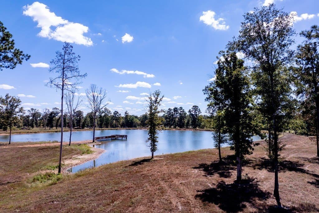 128.38 acres in HOUSTON County - photo 44