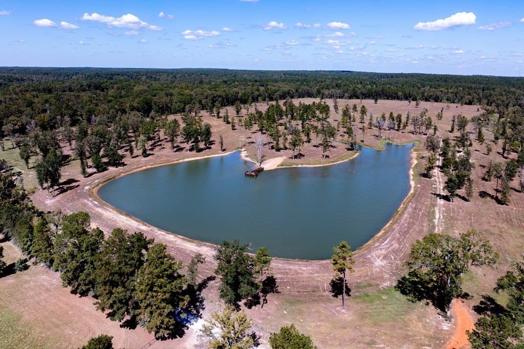 128.38 acres in HOUSTON County - photo 4
