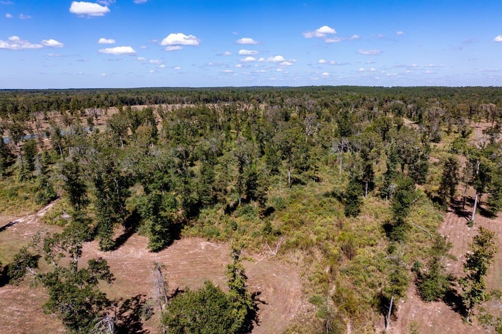 128.38 acres in HOUSTON County - photo 36