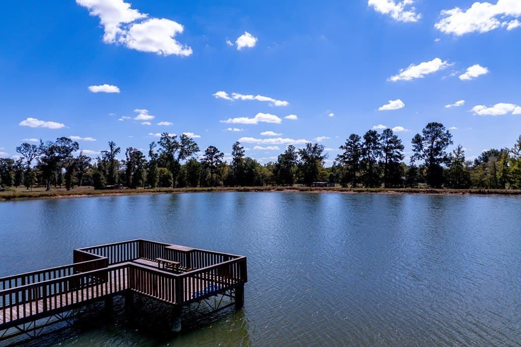 128.38 acres in HOUSTON County - photo 45