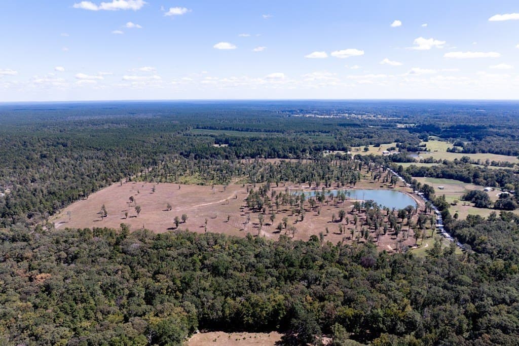 128.38 acres in HOUSTON County - photo 26