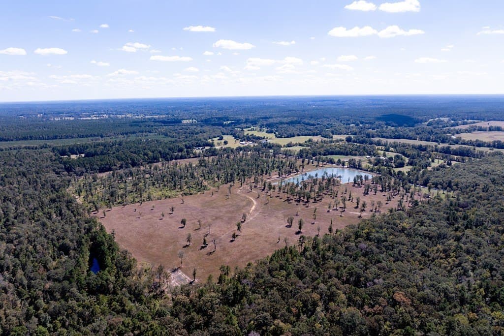 128.38 acres in HOUSTON County - photo 23