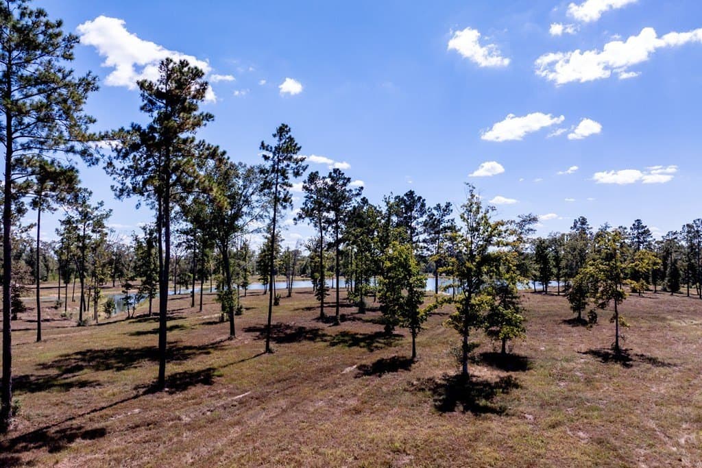 128.38 acres in HOUSTON County - photo 43