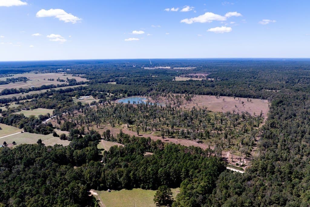 128.38 acres in HOUSTON County - photo 12
