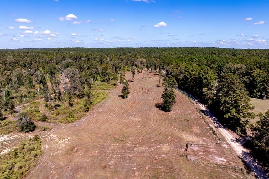 128.38 acres in HOUSTON County - photo 37