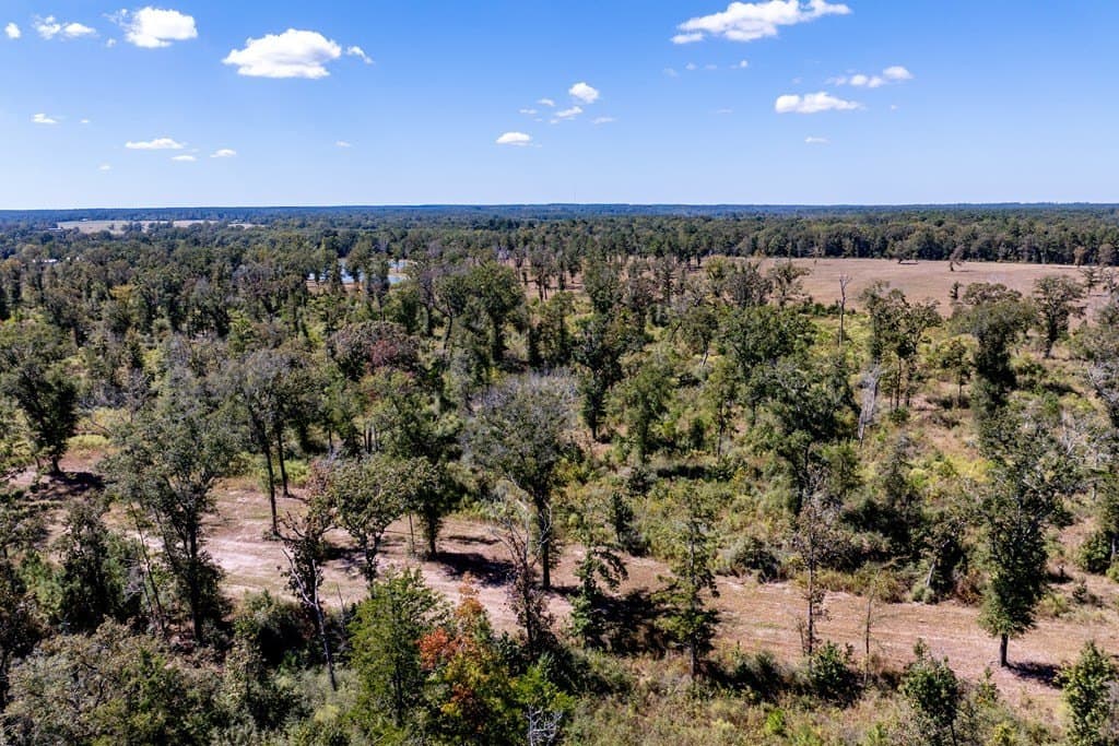 128.38 acres in HOUSTON County - photo 39