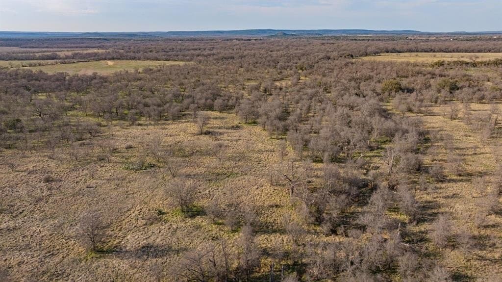 46.92 acres in Palo Pinto County - photo 8