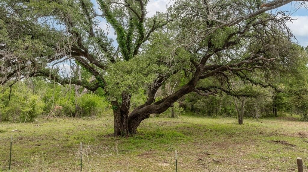 40.04 acres in Erath County - photo 4