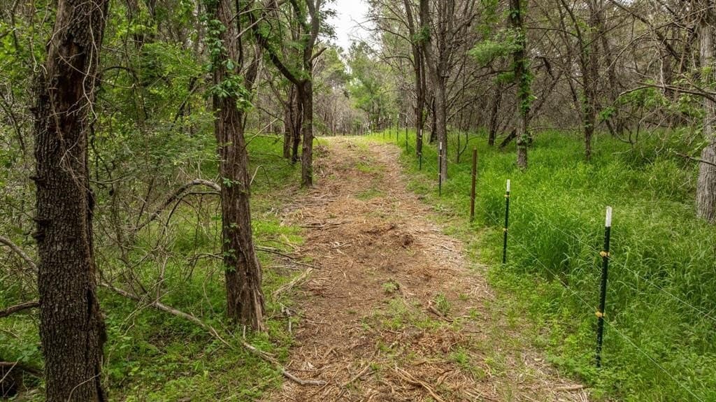 40.04 acres in Erath County - photo 5
