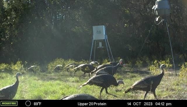 40.04 acres in Erath County - photo 11