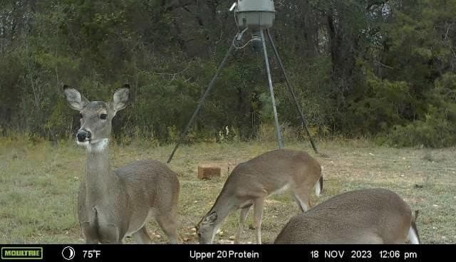 40.04 acres in Erath County - photo 14