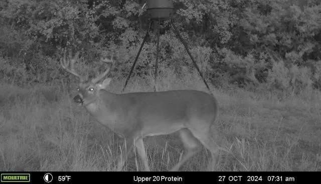 40.04 acres in Erath County - photo 12