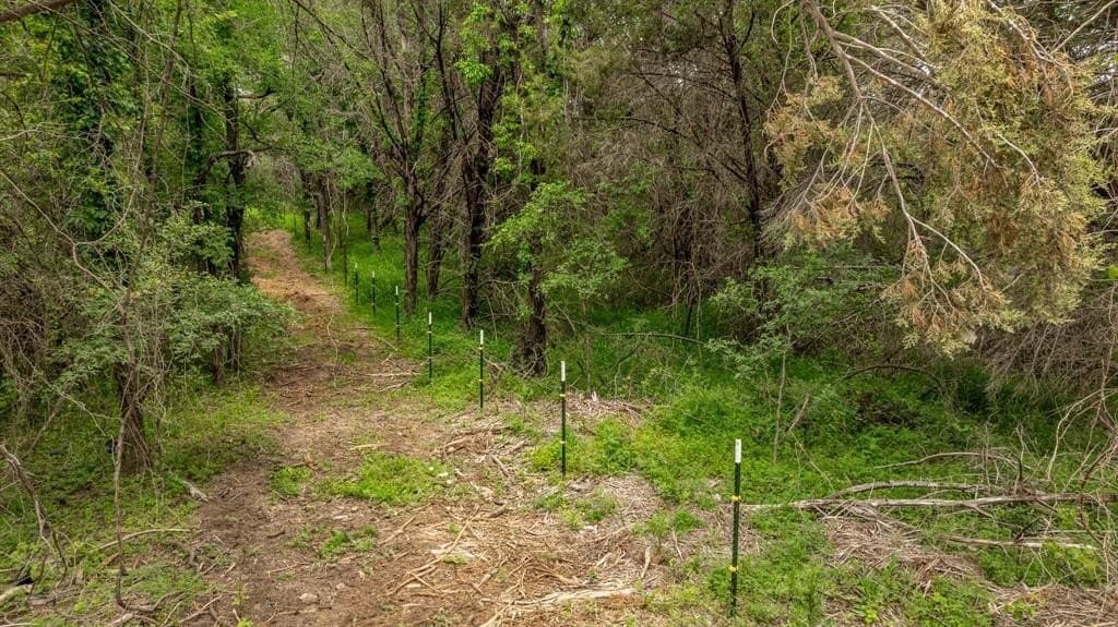 40.04 acres in Erath County - photo 32