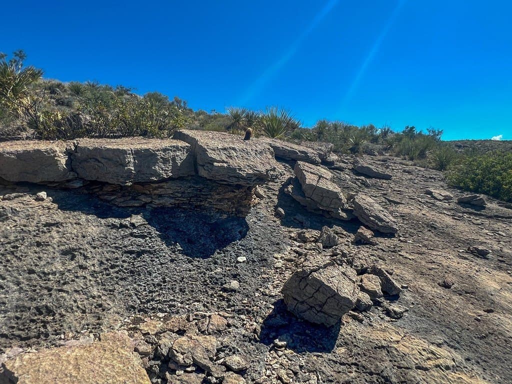 480 acres in Brewster County - photo 3