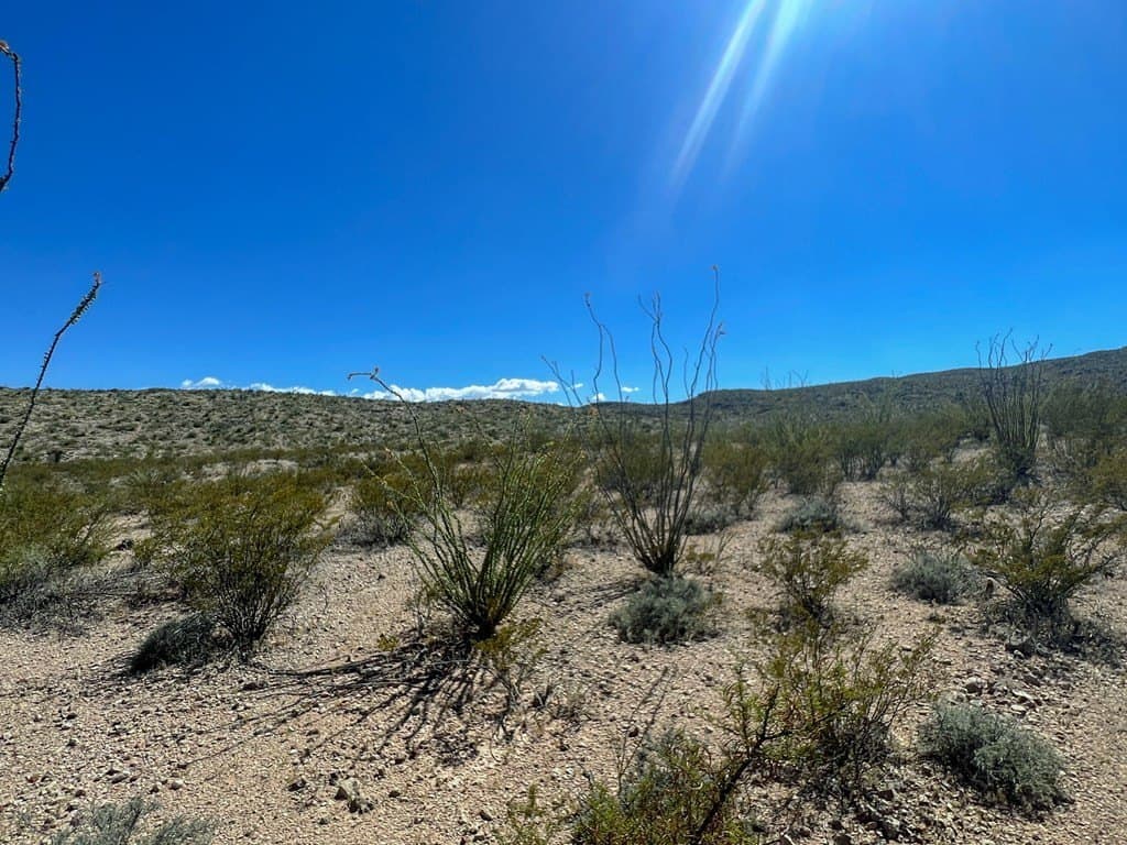 480 acres in Brewster County - photo 5