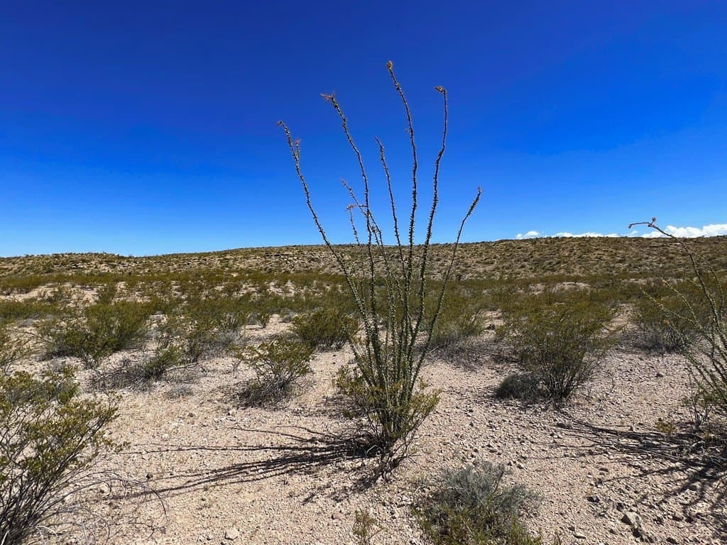 480 acres in Brewster County - photo 4