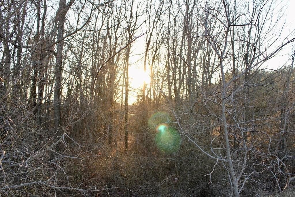 10.01 acres in Comanche County - photo 9
