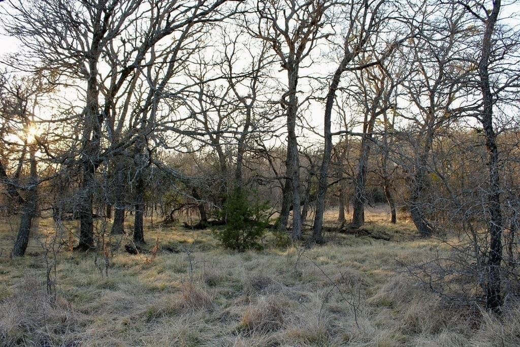 10.01 acres in Comanche County - photo 15