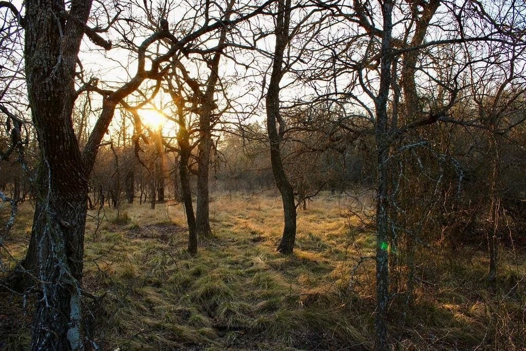 10.01 acres in Comanche County - photo 21