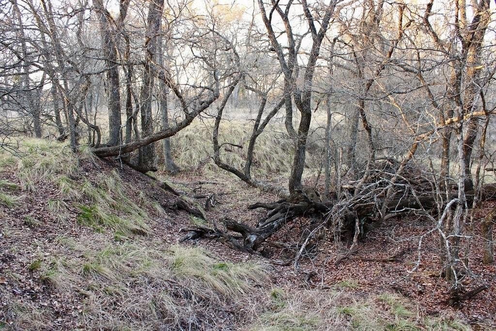 10.01 acres in Comanche County - photo 19