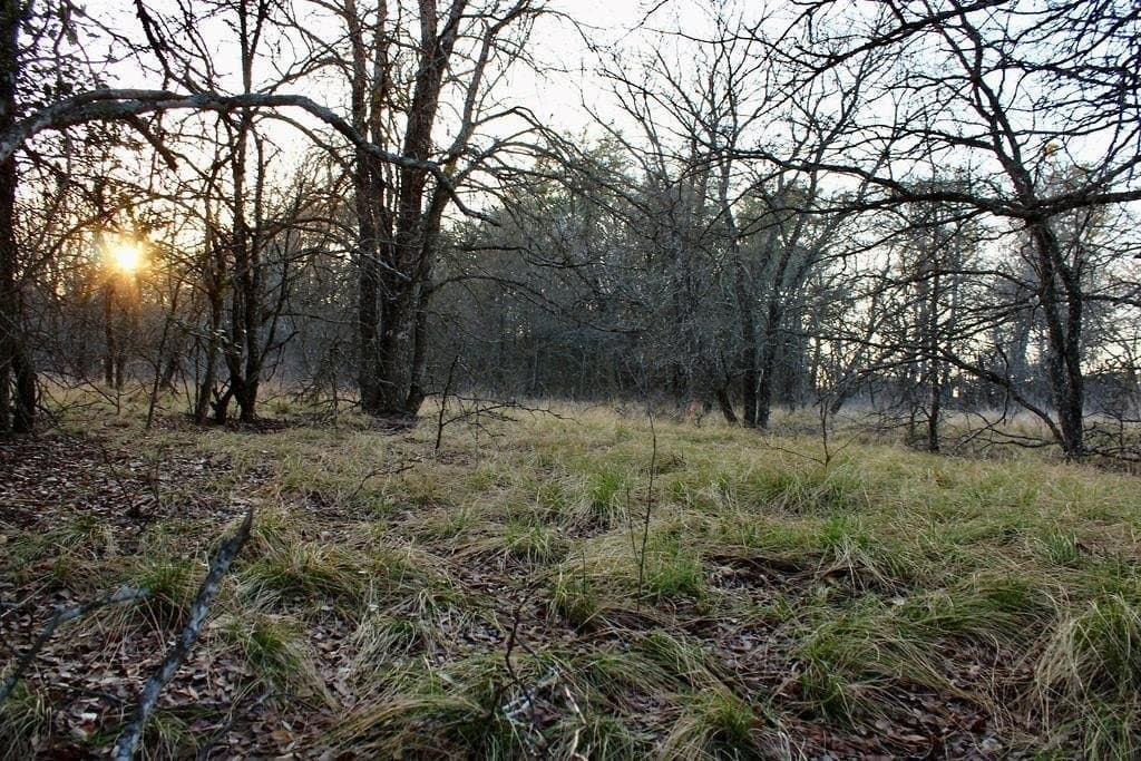 10.01 acres in Comanche County - photo 20