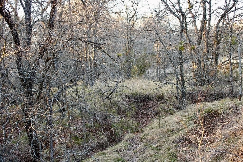 10.01 acres in Comanche County - photo 18