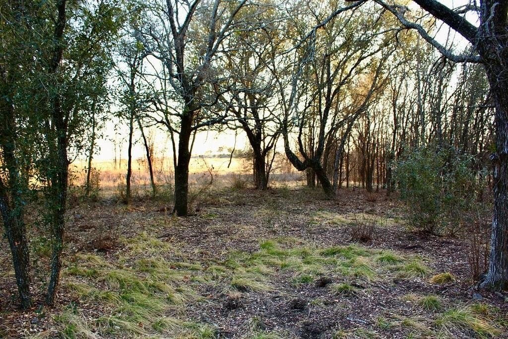 10.01 acres in Comanche County - photo 13