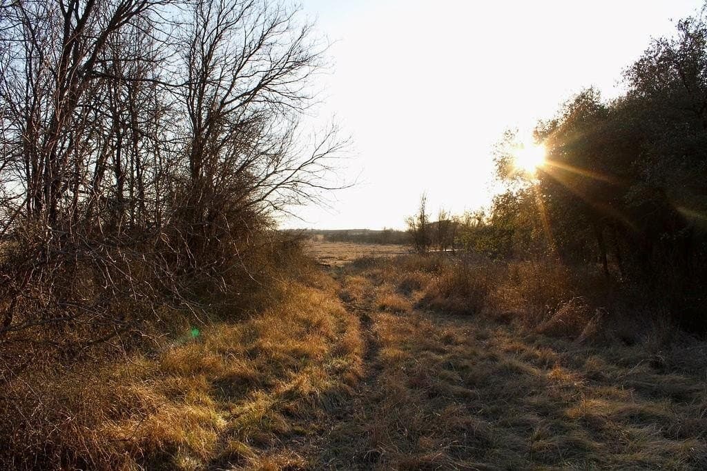 10.01 acres in Comanche County - photo 12