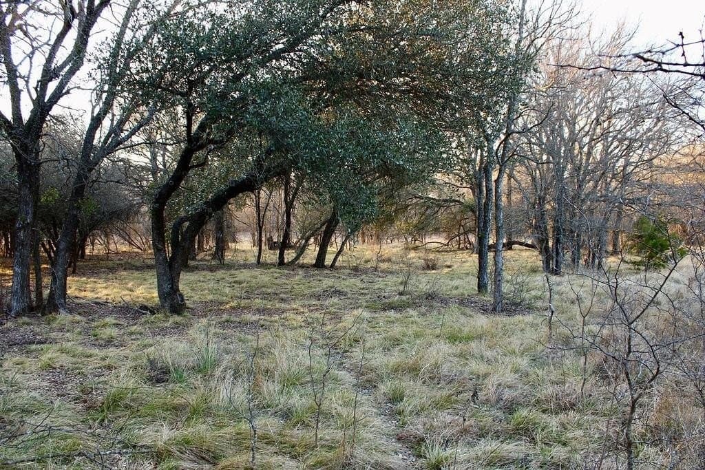 10.01 acres in Comanche County - photo 11