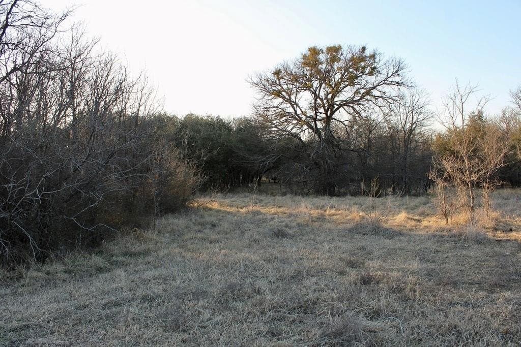 10.01 acres in Comanche County - photo 5