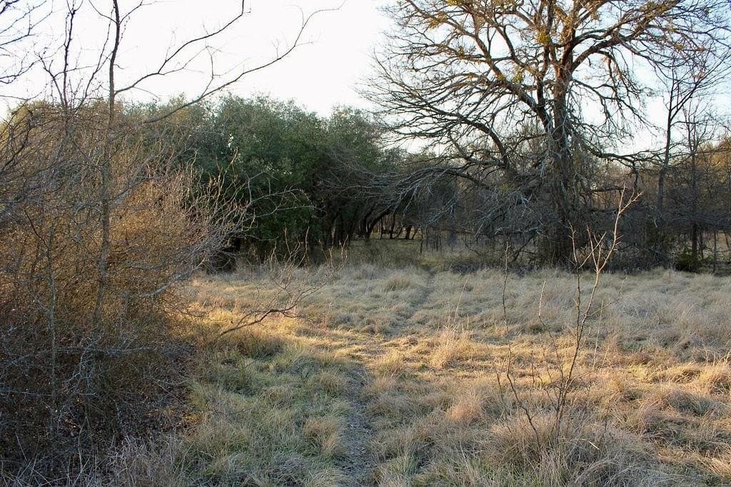 10.01 acres in Comanche County - photo 8