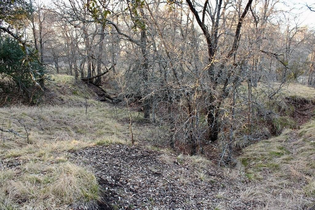 10.01 acres in Comanche County - photo 16